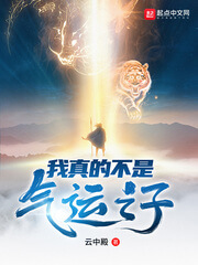 《我真的不是气运之子》(校对版全本)作者:云中殿